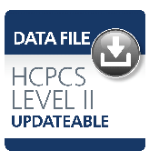 image of HCPCS Subscription Data File 